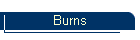Burns