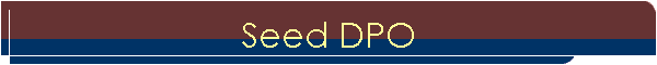 Seed DPO